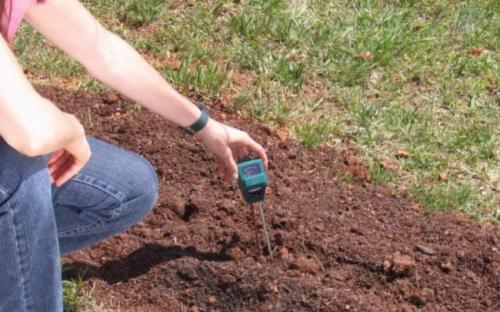 Кислая почва, что делать народные средства. Как определить кислотность почвы