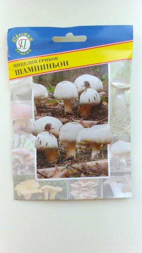 Выращивание шампиньонов в домашних условиях из готового компоста. Мицелий грибов Шампиньон (пакетик в отделе семян)