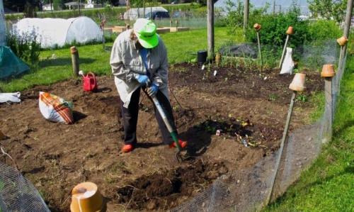 Нужно ли осенью вскапывать огород. Копать или не копать