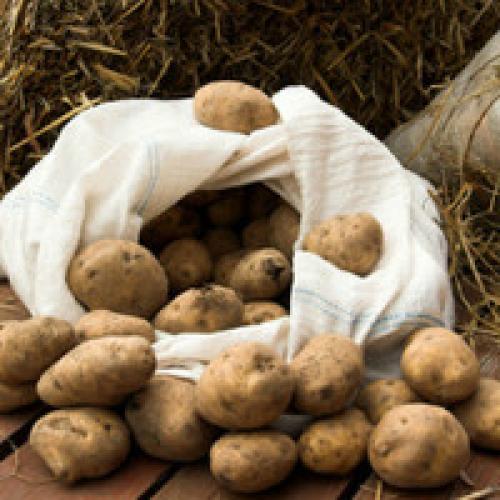 Как хранить дома картошку. Как и где нужно хранить картошку в квартире
