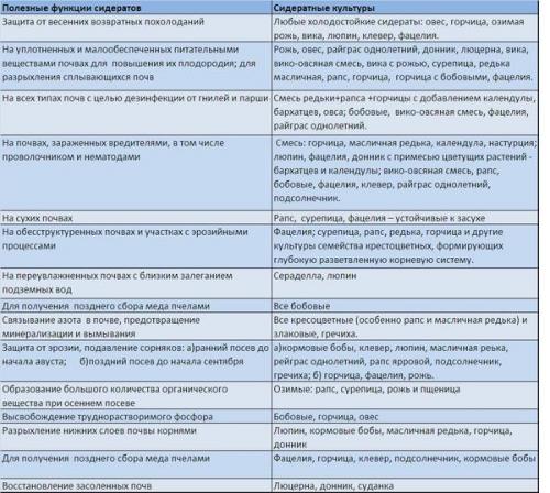 Сидераты, таблица. Справочная информация по использованию сидератов на приусадебном участке (Приложение к ДЗ №4)