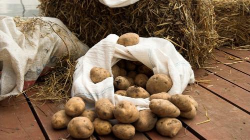 Как дома хранить картофель. Методы хранения картофеля в домашних условиях