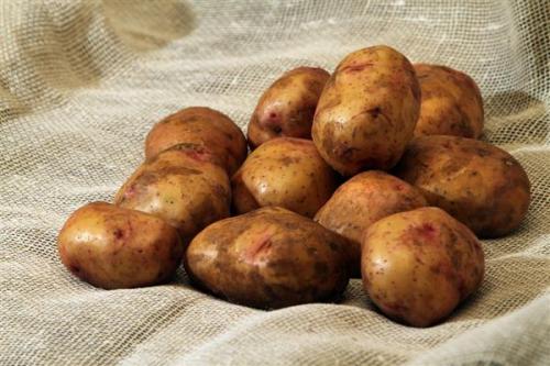Почему чернеет картошка при хранении. 