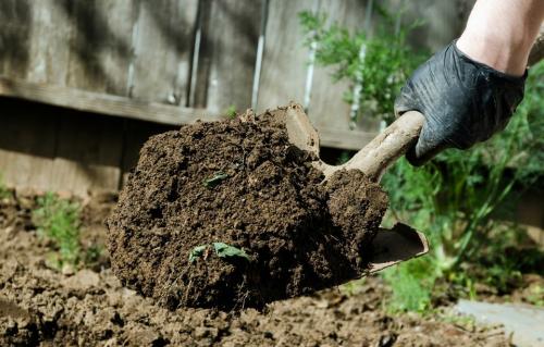 Осенняя перекопка почвы сроки. Стоит ли перекапывать землю в огороде: преимущества процесса