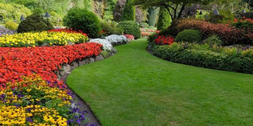 Какие факторы необходимо учитывать при выборе газонной смеси с цветами