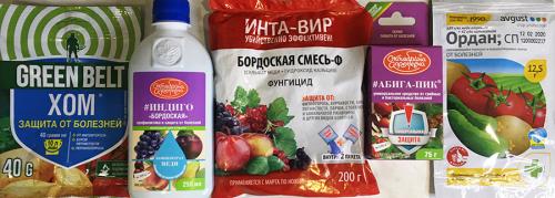 Как ухаживать за малиной в апреле