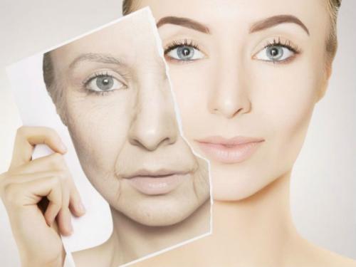 В каких продуктах наиболее высокие уровни эстрогенов