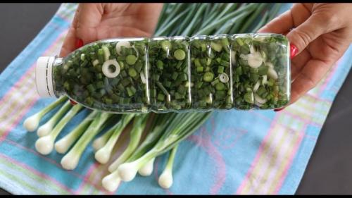 Какие факторы влияют на сохранность зеленого лука после покупки