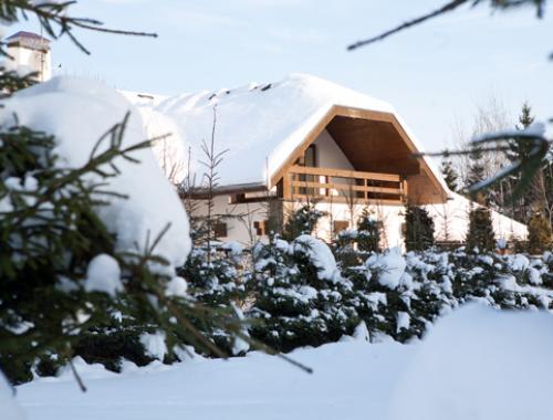 Какие материалы можно использовать для укрытия хвойных деревьев на зиму в Сибири