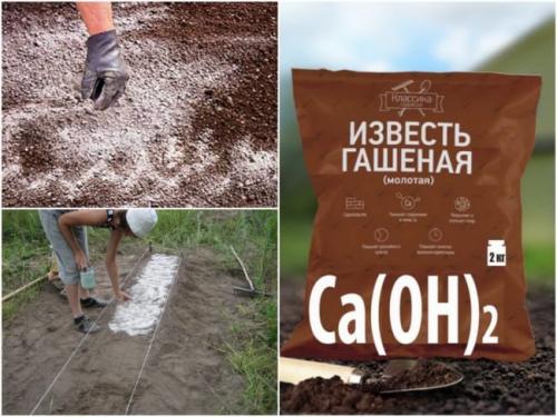 Известь для раскисления почвы. Гашеная известь
