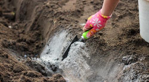 Чем раскисляют почву. Добавление статьи в новую подборку 07 Чем раскисляют почву. Добавление статьи в новую подборку 07