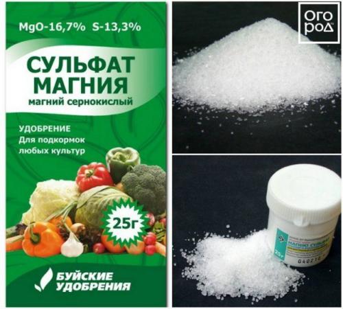 Сульфат магния для комнатных растений дозировка.