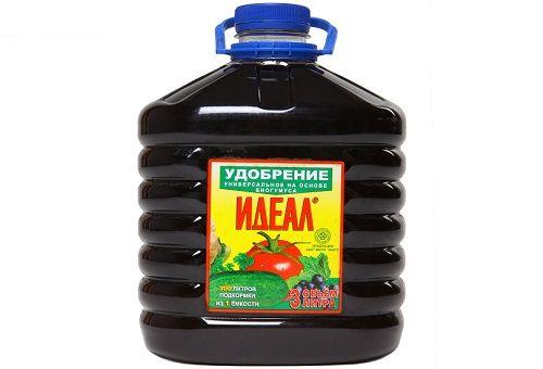 Чем подкормить ремонтантную малину во время плодоношения. Внесение удобрений весной