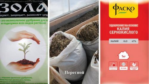 Уход за плодовыми деревьями в сентябре. Правильный уход за садом и огородом осенью по месяцам 03 Уход за плодовыми деревьями в сентябре. Правильный уход за садом и огородом осенью по месяцам 03