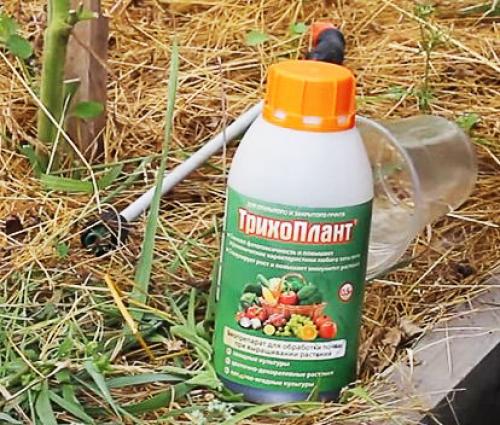 Чем обработать землю осенью от болезней. Биологические препараты