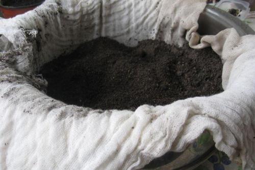 Чем обработать почву от болезней. Обеззараживание почвы весной и осенью