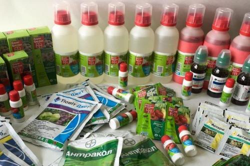 Чем обработать почву от болезней. Обеззараживание почвы весной и осенью