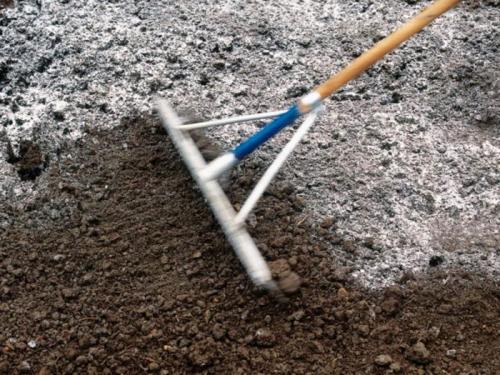 Самое эффективное средство от проволочника. Агротехнические приемы