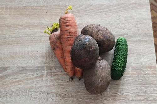 Можно ли есть кожуру у яблок с красной мякотью. Фрукты