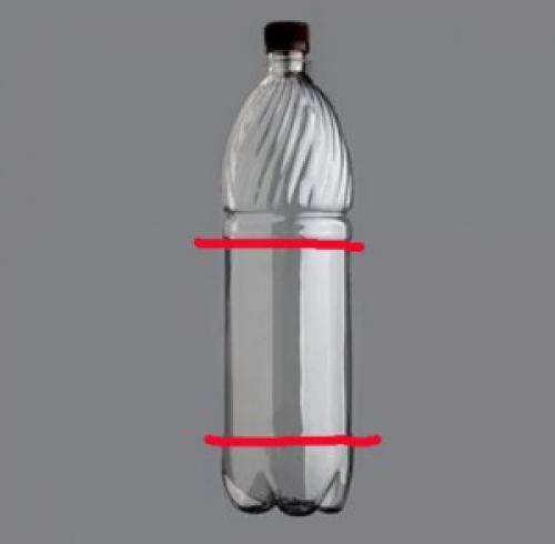 Когда и как правильно сажать лилии осенью. Когда сажать лилии осенью в регионах 04