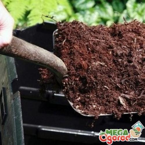 Как подкислить почву для томатов. Как подкислять почву