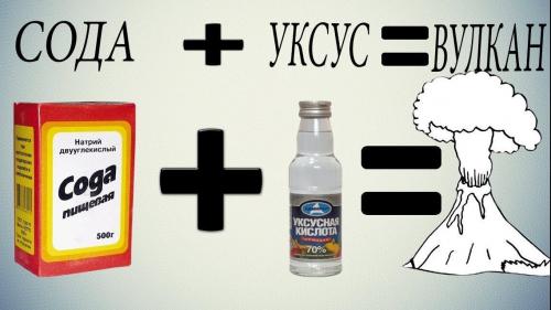 Кислотность почвы для гортензии. Кислая почва для гортензии. Как сделать кислую почву +5 способов