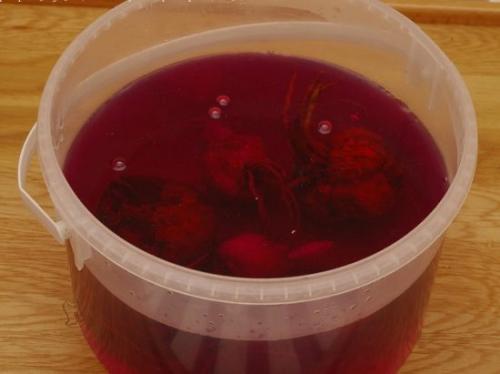 Как пересадить лилию в другое место. Когда пересаживать лилии осенью, чтобы избежать ошибок