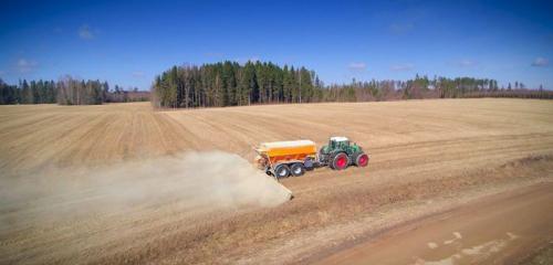Как обеззаразить землю на участке. Чем обработать землю от вредителей перед посадкой: народные средства и химические препараты