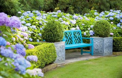 Как подкислить почву для гортензии уксусом. Как правильно подкислить грунт