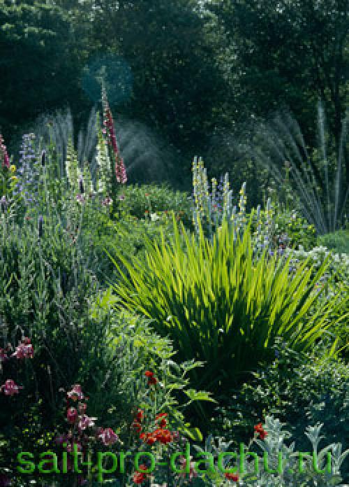 Как определить и проверить кислотность почвы самостоятельно. Народные способы 09 Как определить и проверить кислотность почвы самостоятельно. Народные способы 09