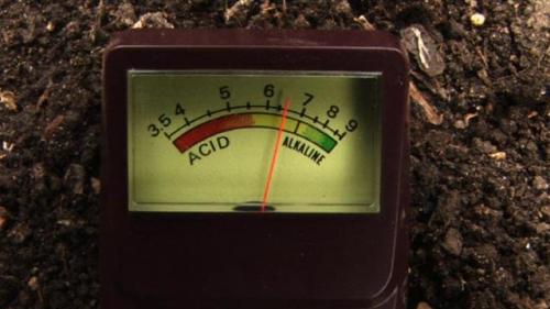Как закислить почву в домашних условиях. В домашних условиях
