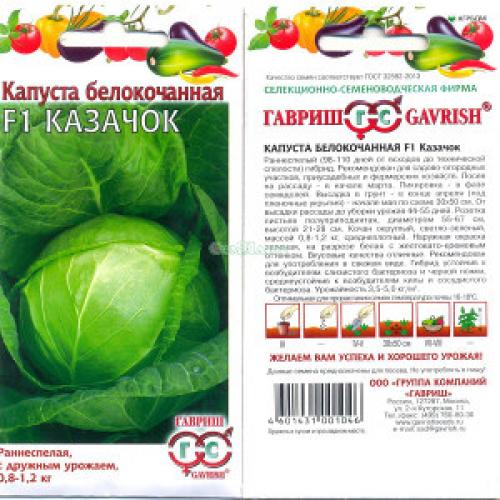 Ультраранние сорта капусты. Лучшие ранние сорта капусты белокочанной для России