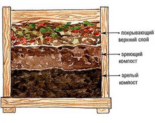 Перегной осенью на грядки. Чем подкармливать грядки после уборки осеннего урожая 05