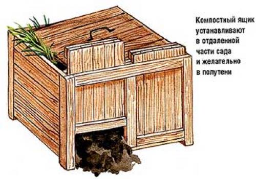 Перегной осенью на грядки. Чем подкармливать грядки после уборки осеннего урожая 06