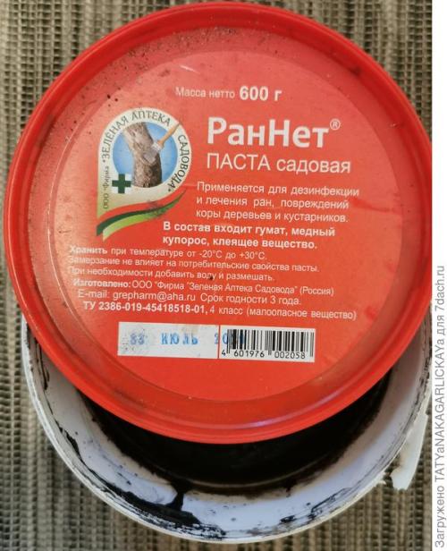Какие сезонные работы проводятся в плодовом саду и для чего они нужны. Осенние заботы о плодовом саде