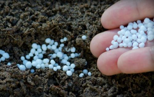 Как правильно подкормить крыжовник осенью: советы и рекомендации 09 Как правильно подкормить крыжовник осенью: советы и рекомендации 09