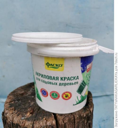 Какие сезонные работы проводятся в плодовом саду и для чего они нужны. Осенние заботы о плодовом саде