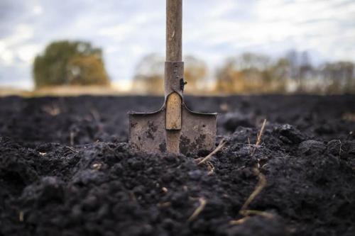 Полезные советы: чем подкормить сад перед зимовкой 03 Полезные советы: чем подкормить сад перед зимовкой 03