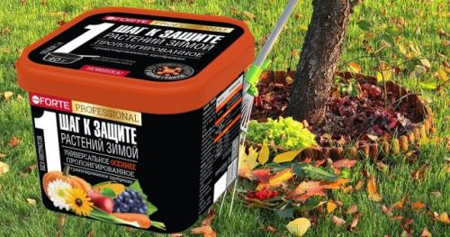 Как осенние подкормки влияют на зимостойкость плодовых растений. Какими удобрениями подкармливать плодовые деревья осенью