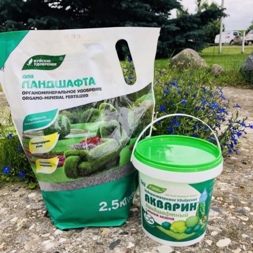 Как правильно ухаживать за декоративными кустарниками осенью. Внесение удобрений