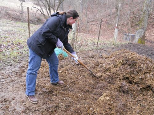 Что удобрять новозом осенью. Добавление статьи в новую подборку 04