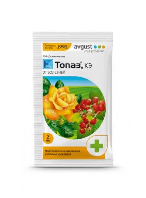 Первая подкормка смородины и крыжовника. Болезни смородины и крыжовника