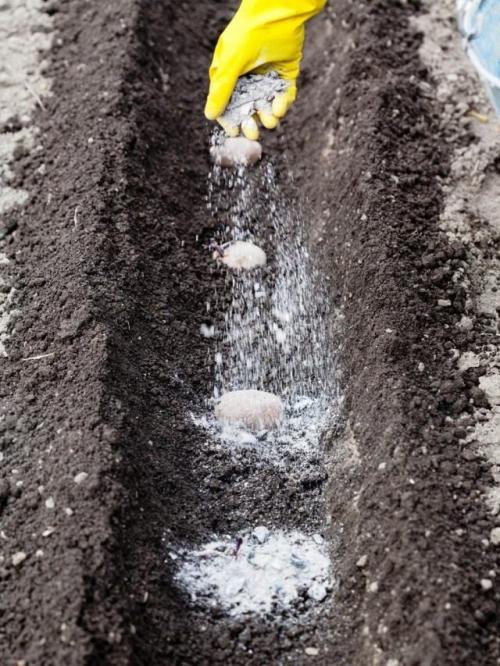 Нужно ли готовить почву перед осенней подкормкой. Какие удобрения вносить осенью?