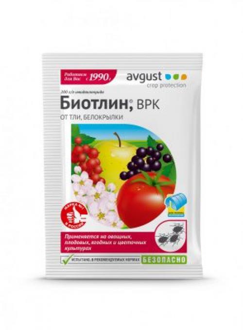 Как подготовить почву перед первой подкормкой смородины и крыжовника. Враги урожая