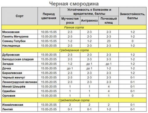 Какие болезни могут поражать смородину, и как их предотвратить. Профилактика болезней смородины и борьба с ними