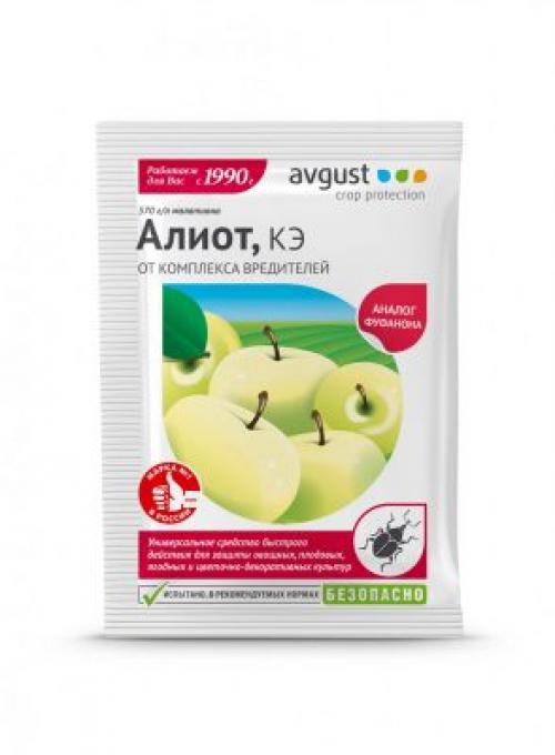 Как подготовить почву перед первой подкормкой смородины и крыжовника. Враги урожая