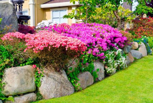 Каждому растению своя подкормка: полезные советы для вашего сада 01 Каждому растению своя подкормка: полезные советы для вашего сада 01