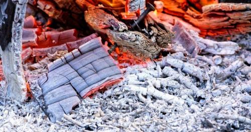 Норма внесения древесной золы. Состав древесной золы