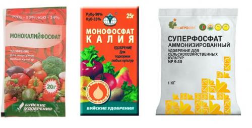 Свежий навоз под малину. Подкормка малины весной