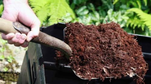 Правила внесения навоза. Навоз, как удобрение: как приготовить и вносить?